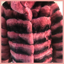 Pink Chinchilla Rex Rabbit
